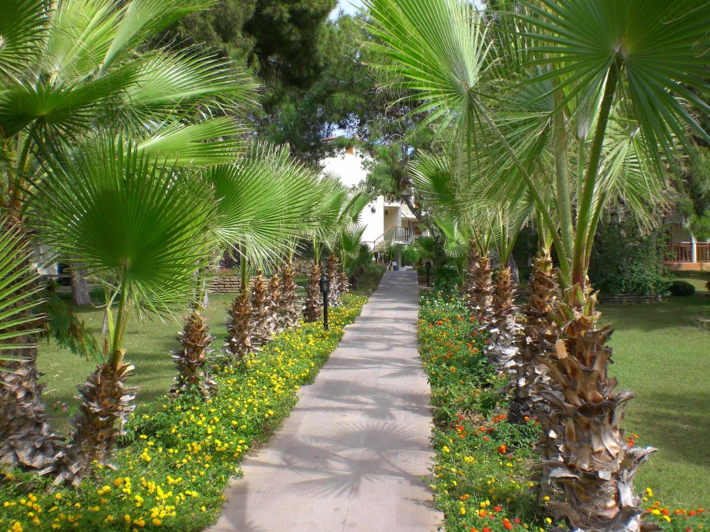 Gartenanlage im Hotel Papillon Belvil Gartenanlage im Hotel Papillon Belvil