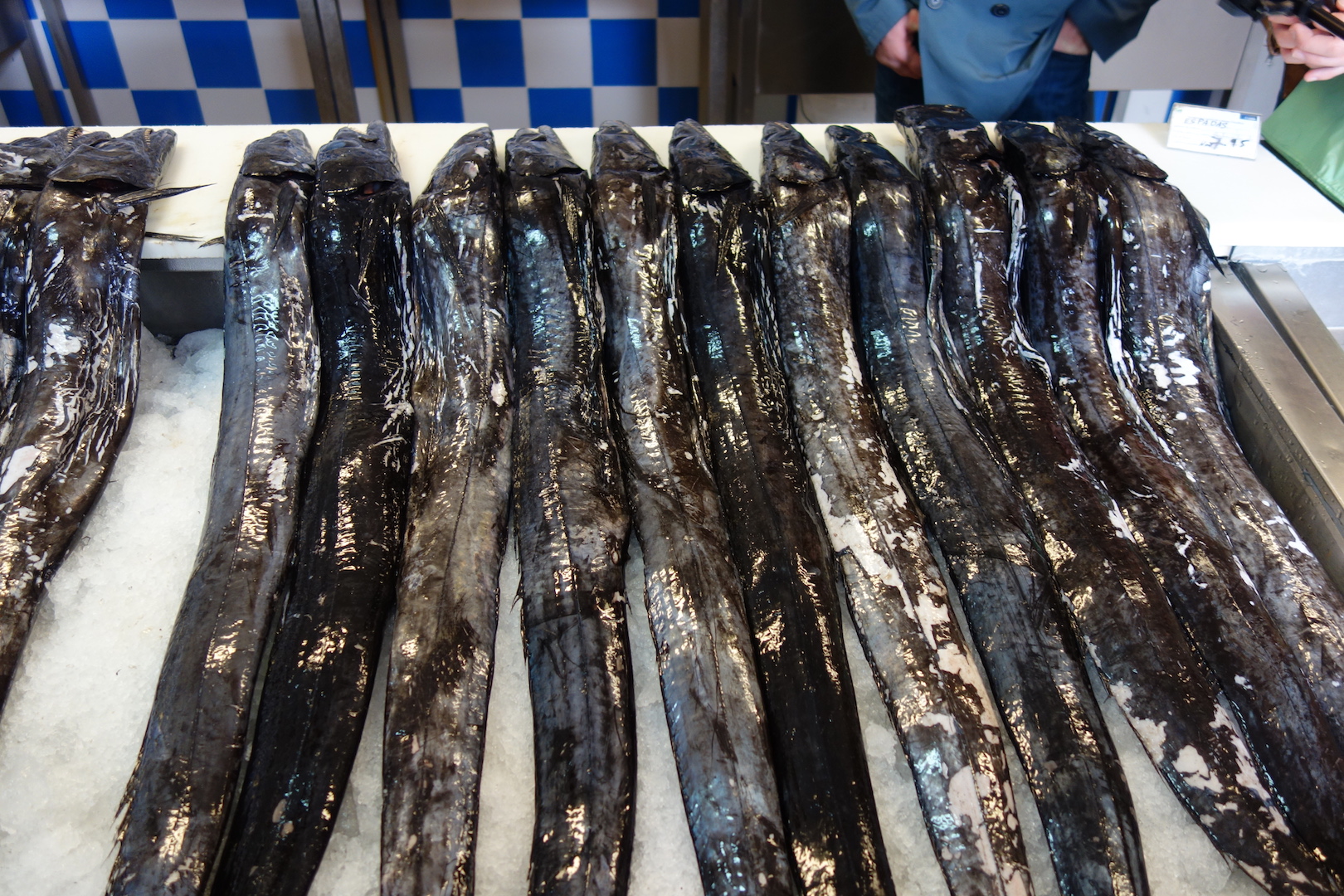 schwarzer Degenfisch